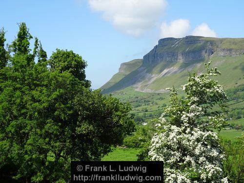 Manorhamilton Road